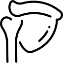 shoulder-blade